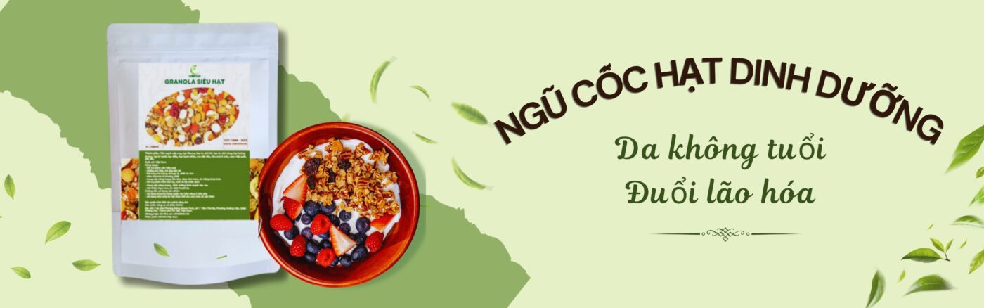 banner 4800 x 1500 px 2