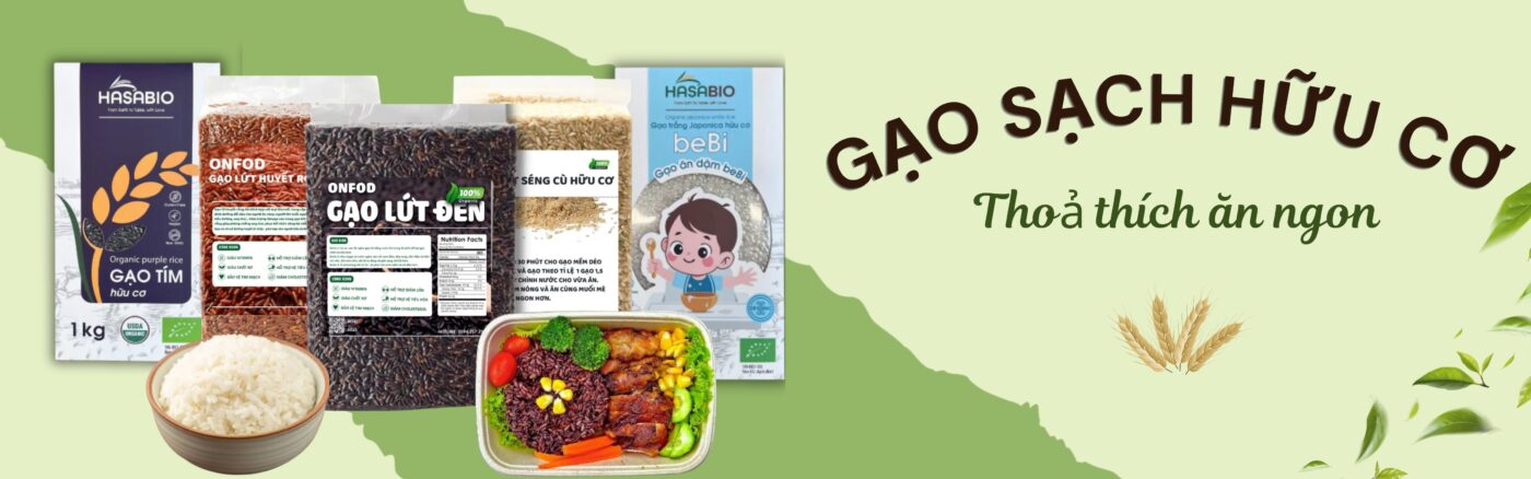 banner 4800 x 1500 px 6