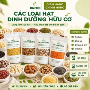 Hạt dinh dưỡng ONFOD cho bé ăn dặm làm sữa hạt ngũ cốc giảm cân granola yến mạch hạt điều macca chia 100g