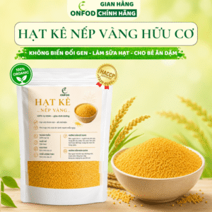 Hạt Kê Nếp Vàng ONFOD Đã Tách Vỏ Cho Bé Ăn Dặm Nấu Cháo Mềm Mịn Dẻo Thơm Làm Sữa Hạt 100g 300g 500g